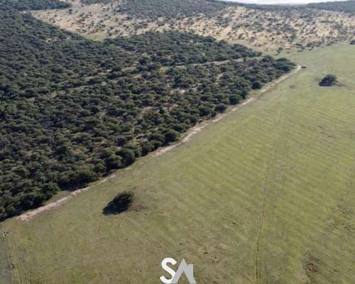 Vende: Campo Mixto de 681 Hectáreas en Naicó, la Pampa