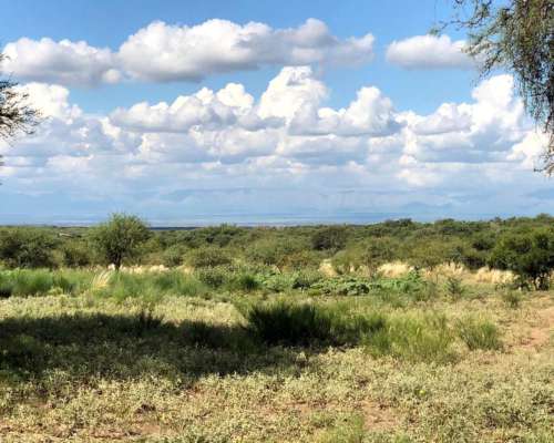 Campo Mixto de 417 Ha a 70 km de Merlo. Permuta.