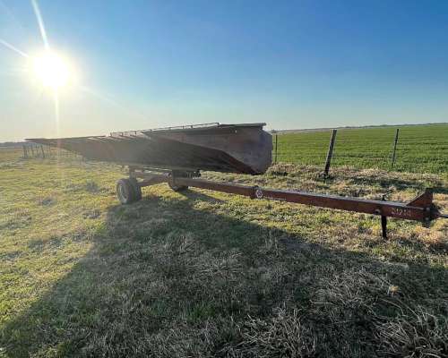 Girasolero Mainero de 10 a 70 cm