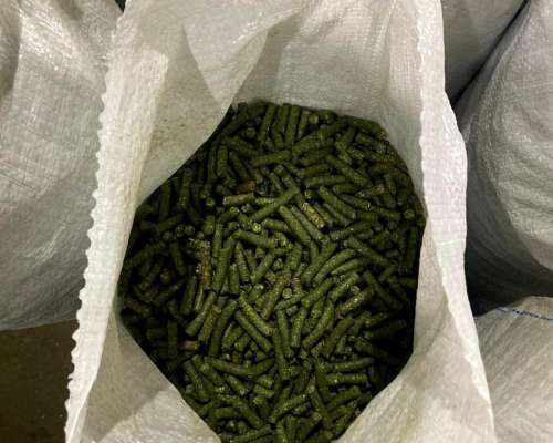 Peletizadora Alfalfa + Molienda