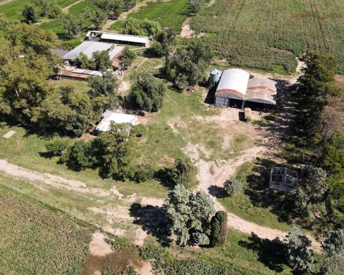 241 Has Mixtas con 120 Agrícolas. Departamento San Jeronimo.