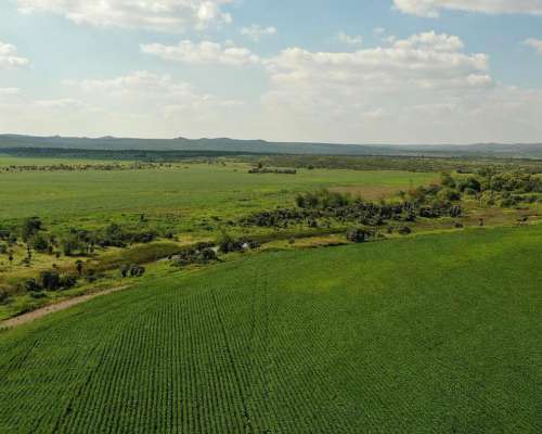 San Pedro Norte, Córdoba - 3068 Ha