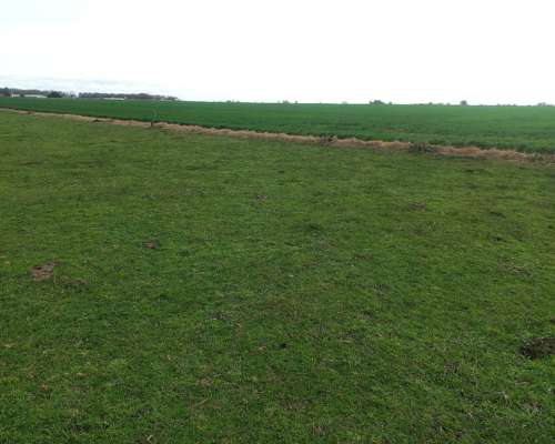 48 Hectareas Campo Agricola