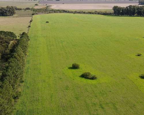 280 Hectáreas Agrícolas, Todas las Mejoras. Gualeguaychú.