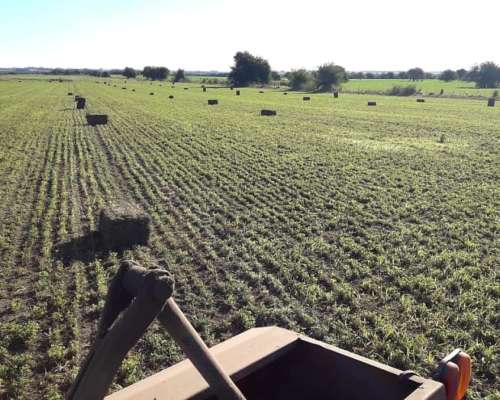 Enfardadora de Fardo Cuadrado en Buen Estado