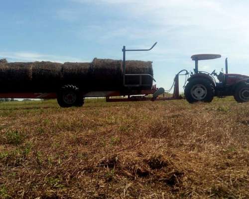 Transportador y Elevador de Rollos Gimetal TDR 6700