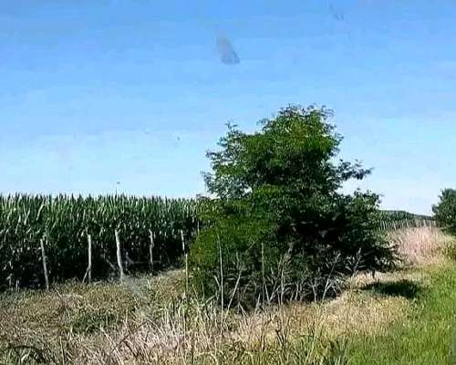 208 Hectáreas Mixtas, Viamonte - CBA