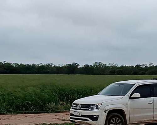 Vendo Campo en Matará