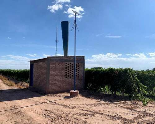 Finca Productiva en Venta 25 HA– Colonia los Álamos, Maipú