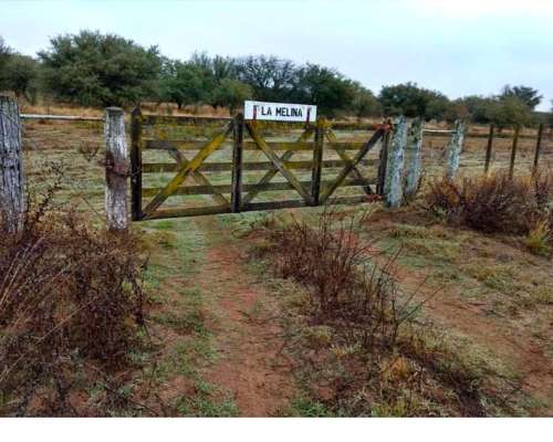 Campo Ganadero de Alta Producción en Unión, San Luis, Argent