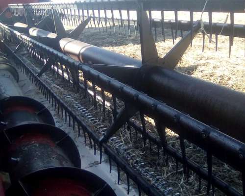 Vassalli 1550, Plat 28 Pies, con Mapeo