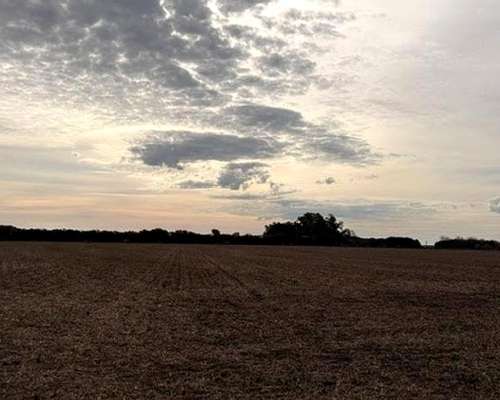 Campo 41hac Agricola Rueda Santa FE