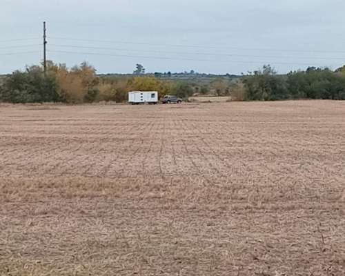 Campo 70 Ha Nogoyá Excelente Ubicación a 5 km de la Ciudad