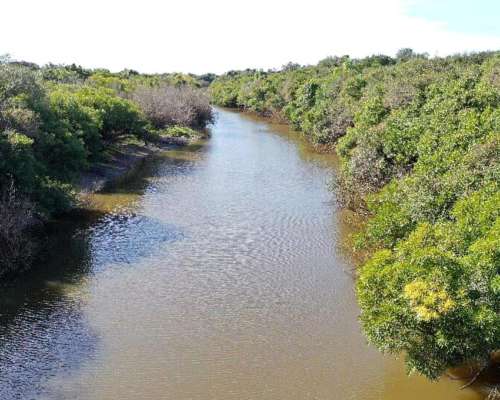 Curuzú Cuatiá, Corrientes - 2.502 Ha