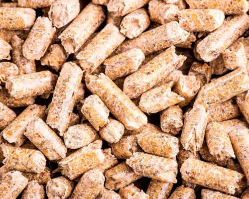 Pellet de Cascara de Soja - Lasna Insumos - MÍN 28 TN