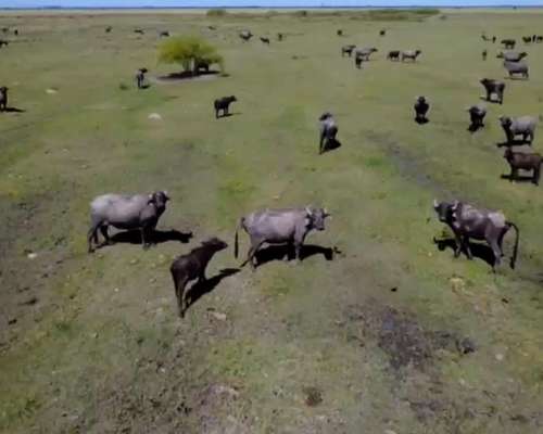 En Venta - Campo Logroño, Santa FE