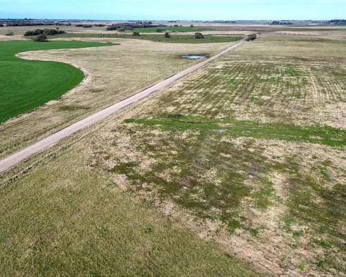Campo 50 Ha Madariaga / Pinamar
