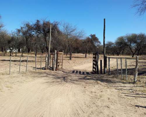 3.300 Has. Campo en Ayacucho, San Luis