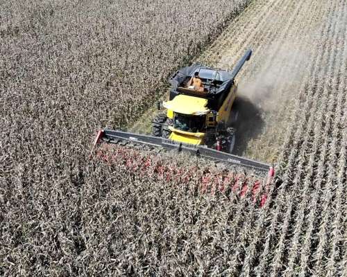 Cabezal Maicero cm 2020 de 18 Surc a 52 con Embocador, con