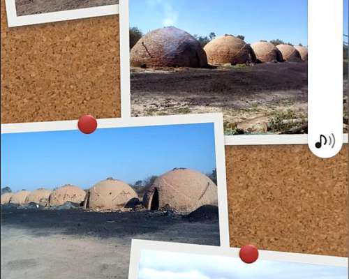 Oferta 562 Hectáreas. Vendo Campo Agrícola Forestal