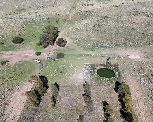 Establecimiento 2580 Ha Venta