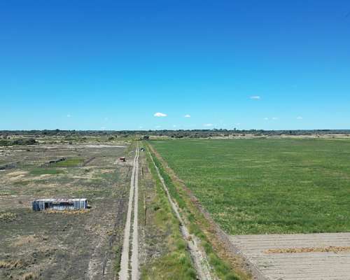 875 Ha Sobre Río Negro – 80 Ha Riego – Campo Mixto