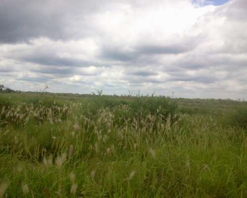 Campo en San José de Orquera, Dpto Metán, Salta