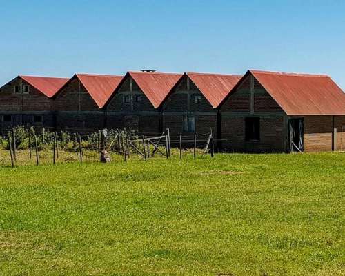 Venta Oportunidad Part. de Baradero Campo con Muchas Mejoras