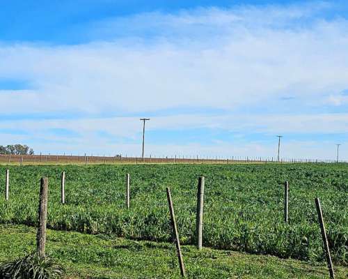 200 Hectáreas Mixtas. Sobre Autopista.