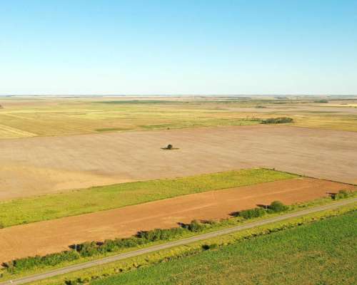 Washington, Río Cuarto, Córdoba - 11 Ha