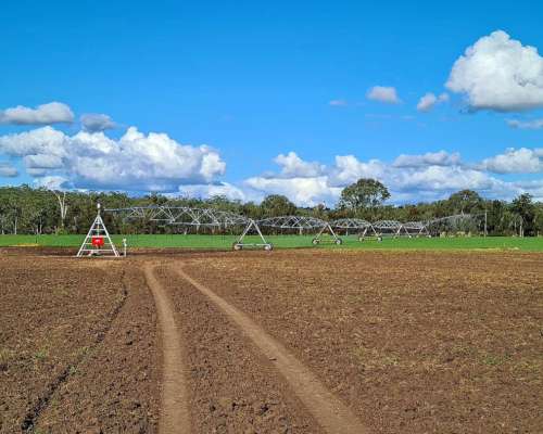 Rsa Machinery de 7 Tramos