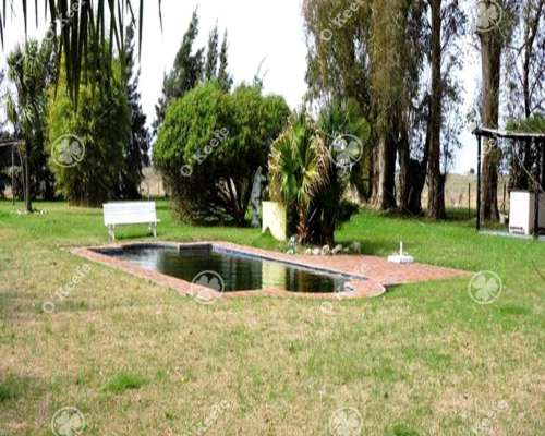 Campo en Venta 77 Has en Veronica