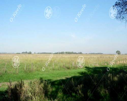 Campo en Venta de 84 Hectareas, la Plata, Ganadero.