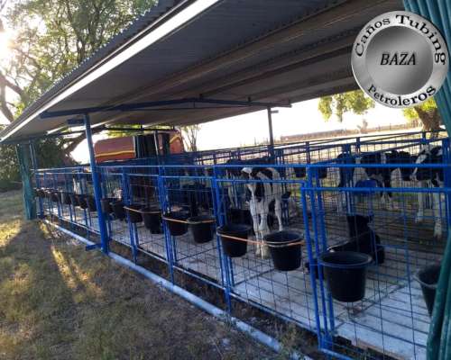 Guacheras Móviles para 20 Terneros