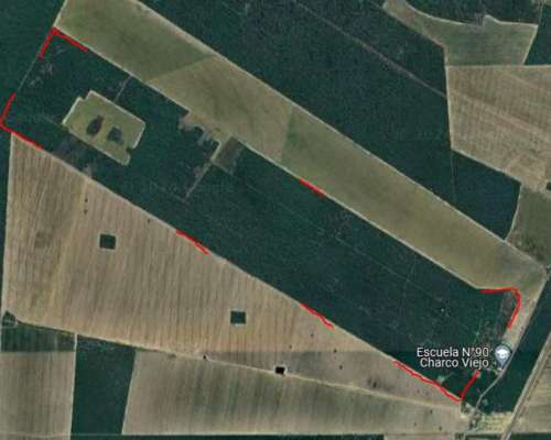 Venta 140has Rio Hondo