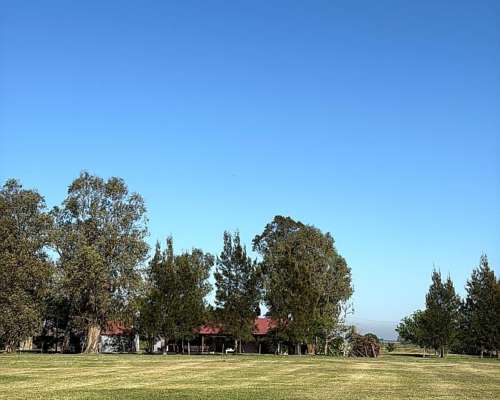 Campo Ganadero Sobre Ruta 2, Altura Huanqueros