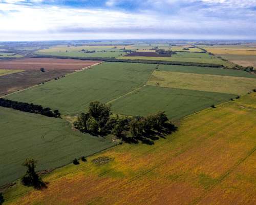 Campo en Venta Arrecifes 93ha