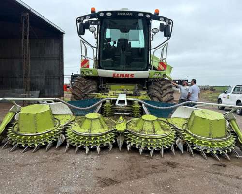 Picadora Jaguar 950 Claas