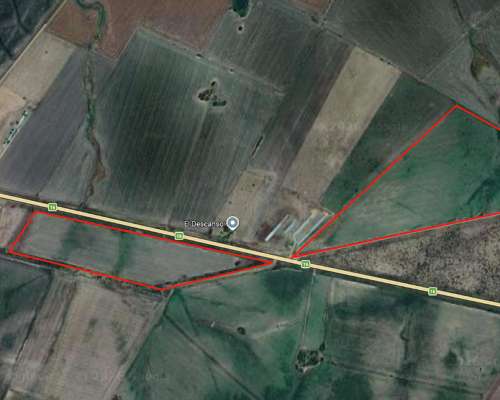 53ha Sobre Ruta en Gualeguaychú. Arrendamiento - 8qq