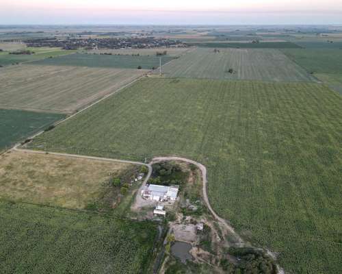 590 Ha - San Genaro (santa FE) - Ganadero
