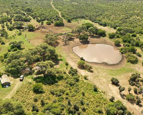 San Pedro Norte, Córdoba - 3068 Ha