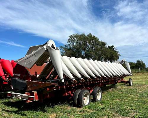 Cabezal Maicero Maizco Premium 16/52 año