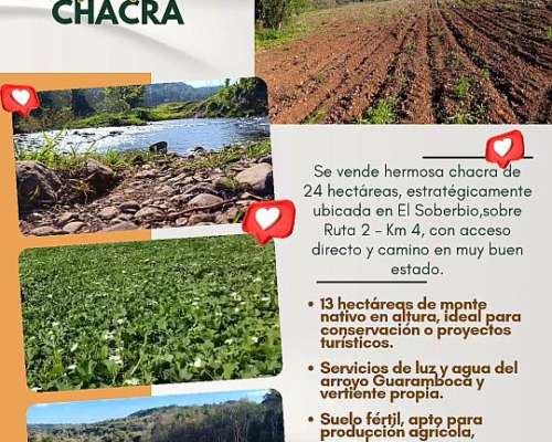 Oferta Chacra con Monte Nativo