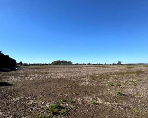 Campo Agrícola de 90 Hectáreas Sobre Ruta 9