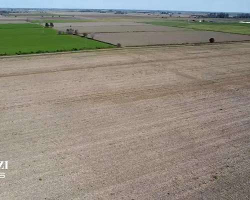 25 Has Agricolas en Humboldt. Suelo Clase 1 - IP 79%.