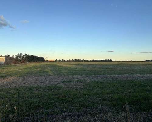 Campo de 20 Has Agrícolas en San Pedro, Asfalto y Luz.