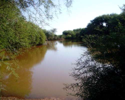 Venta de Campo en Valle Fértil, San Juan 7500 Hectáreas