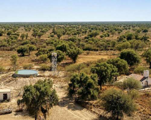 Guanaco Muerto, Cruz del Eje, Córdoba - 4.500 Ha