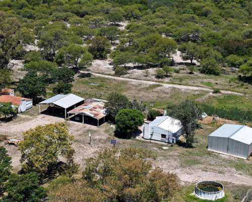 1491 Has Ganaderas de Cría - la Gallareta - Vera - Santa FE