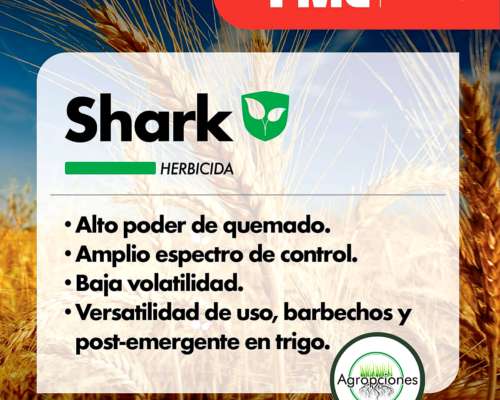 Herbicida Shark ( Carfentrazone 40% ) - FMC